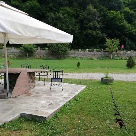 Pensiunea La Busu -Bigar Bozovici Buitenkant foto