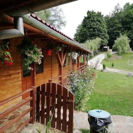 Pensiunea La Busu -Bigar Bozovici Buitenkant foto