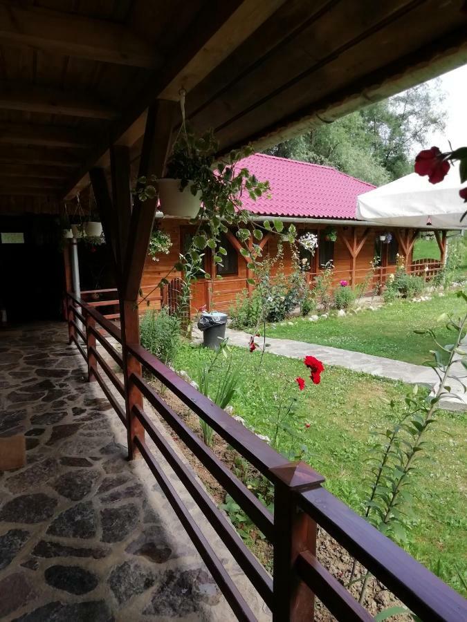 Pensiunea La Busu -Bigar Bozovici Buitenkant foto