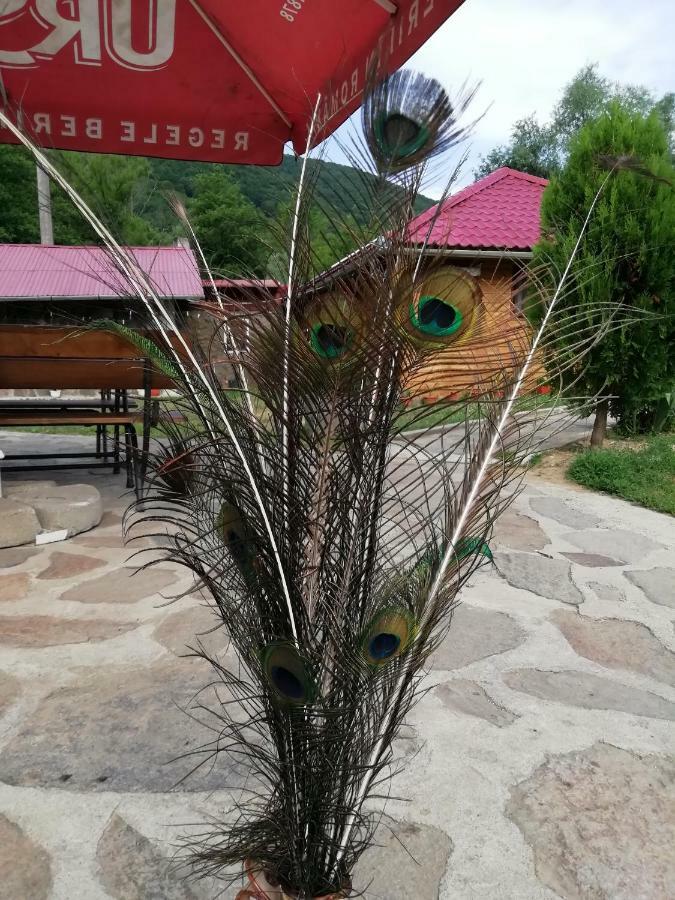 Pensiunea La Busu -Bigar Bozovici Buitenkant foto